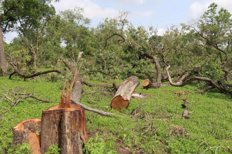 DISPARITION DES QUATRE PERSONNES DANS LA FORET DE BOUSSOLOUM: Les familles lancent la recherche de la dernière chance