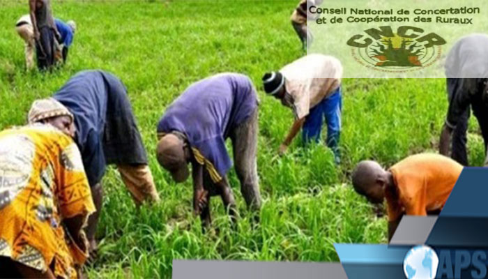 2ème EDITION DU CAMP CLIMAT AU SENEGAL : Le Cncr et ses collaborateurs boudent les autorités et misent directement sur les citoyens