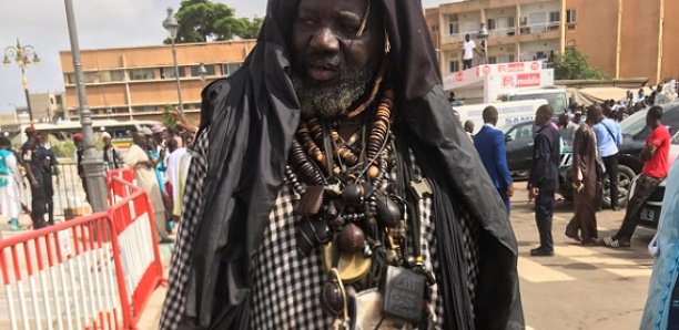 [Arrêt sur Image]: Borom Matt bi, Le Baye Fall qui convoie des dizaines de camions de bois mort à chaque Magal