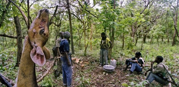 MASSACRE DE BOFFA : Les 15 mis en cause transférés à Ziguinchor