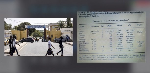 Peste, variole, choléra… : Plongée dans l'histoire des épidémies meurtrières au Sénégal