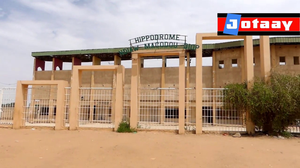 Hippodrome Ndiaw Macodou de Thiès : Un jeune homme d'une vingtaine d'années tué au cours d’une bagarre !