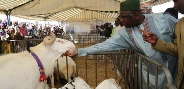 Fonction publique : Macky Sall invité à revaloriser l'« avance Tabaski » de 50.000 frs