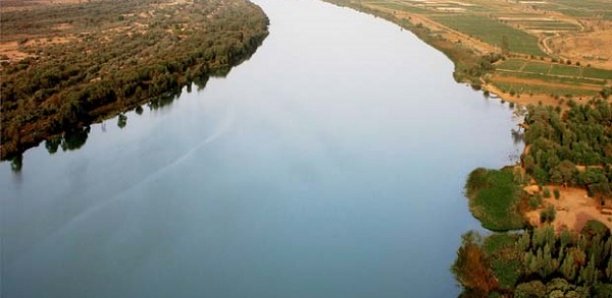 PSYCHOSE AU NORD DU PAYS: Le niveau du fleuve Sénégal dépasse la cote d’alerte à Matam