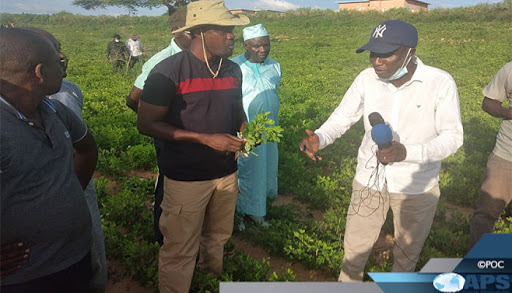 EN VISITE DANS LES EXPLOITATIONS DES VACANCES AGRICOLES PATRIOTIQUES: Sonko brûle le régime dans la gestion du foncier, des ressources halieutiques et minières