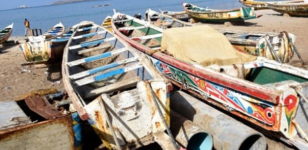 Trafic de drogue : La police saisit 40 kg de cannabis à la plage de Yarakh