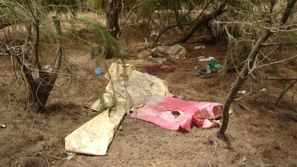 MEURTRE CRAPULEUX A TIAVOUANE PEULH/NOUVELLE VDN: Une femme piégée, tuée puis abandonnée dans la bande des filaos