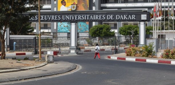 Arrêt des cours du 31 juillet du 4 octobre : «L’Ucad est un milieu hautement covidogène», (Saes)