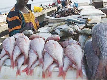 Chaque Sénégalais mange 29 kg de poisson par an