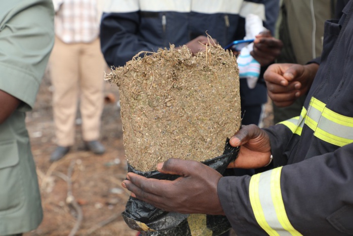 L'EX GENDARME TOMBE AVEC 16,5 KG DE DROGUE: Gilbert Demba livre au flic qui l'a piégé le yamba caché sous du poisson séché