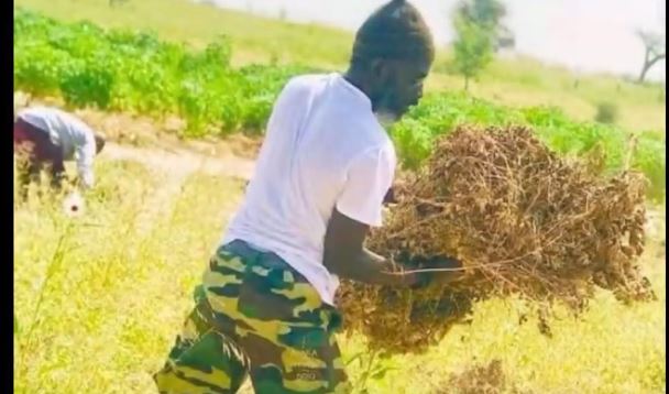 VIOLENCES TOUS AZIMUTS: Mame Thierno Birahim Mbacké «Borom Darou» sans masque avec les jeunes