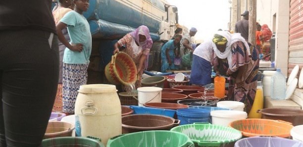 10 jours sans une seule goutte d'eau : Le ras-le-bol des habitants des quartiers Sud de Thiès-ouest, qui menacent de...