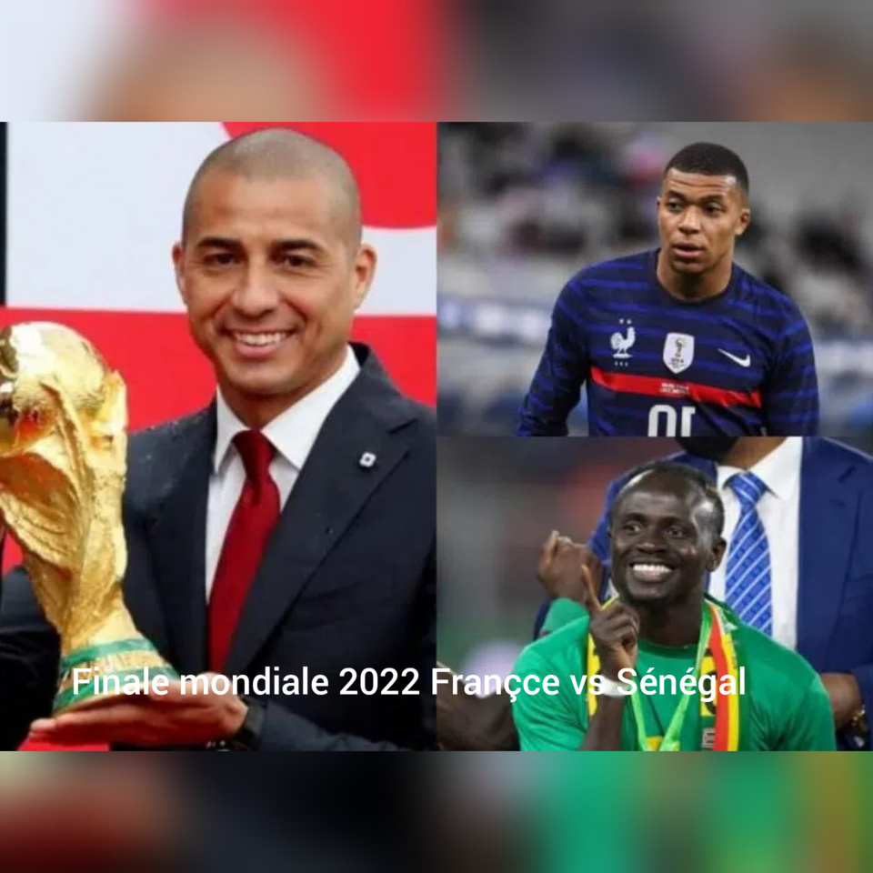 DAVID TREZEGUET SUR LES CHANCES DES LIONS A LA COUPE DU MONDE :«Ce Sénégal qui a pris cette Coupe d'Afrique a toutes les possibilités de devenir protagoniste»