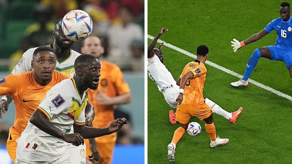 HOLLANDE-SÉNÉGAL (2-0) :Les lions «Oranje» crucifient les Lions de la Teranga d'entrée