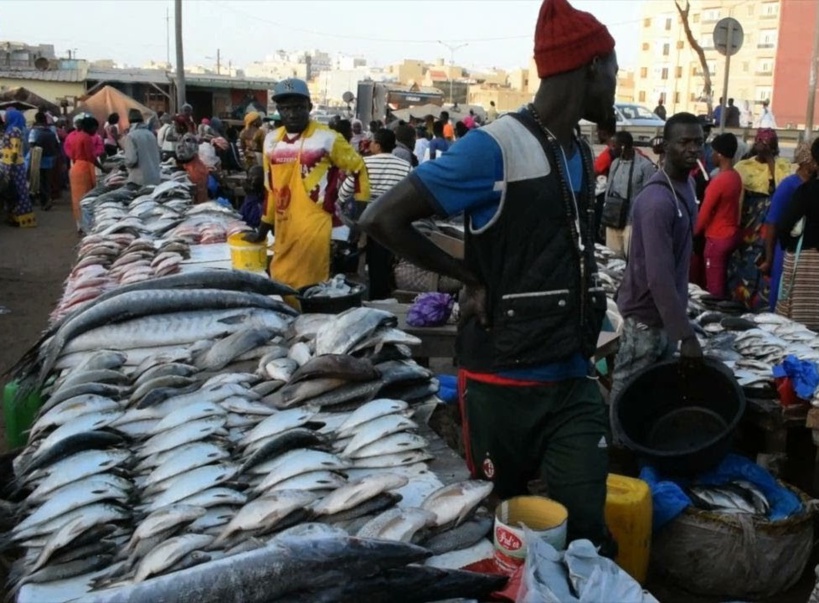 PASSATION DE SERVICE AU MARCHÉ CENTRAL AU POISSON DE PIKINE: Des injures et empoignades éclatent à cause de l'idée d'un comité de gestion