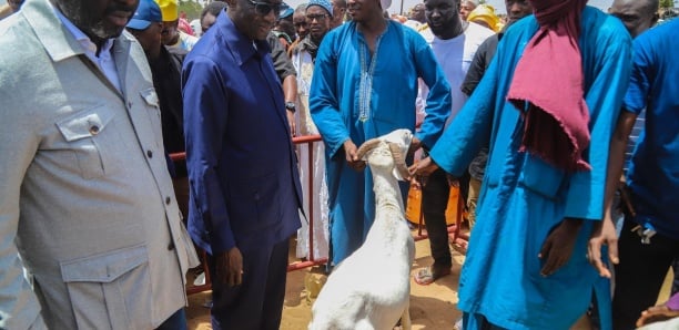 Amadou Bâ optimiste pour un approvisionnement correct