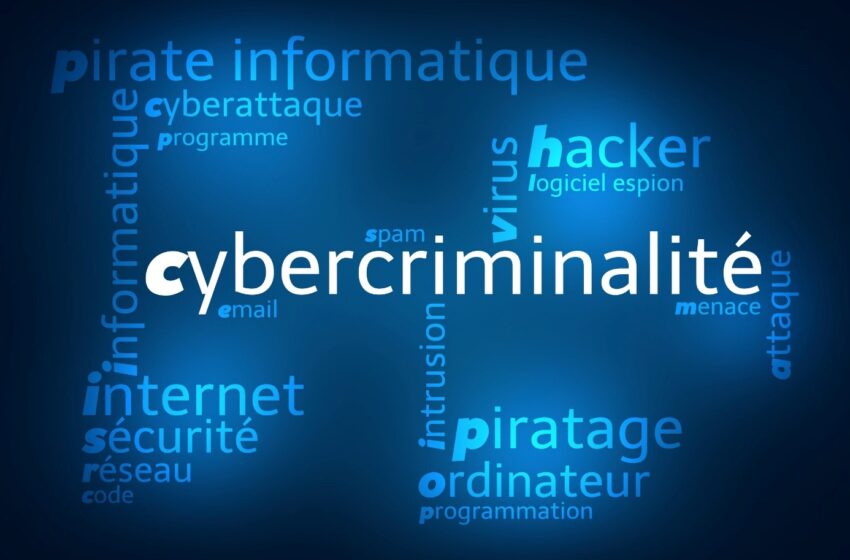 ESCROQUERIE EN BANDE ORGANISÉE ET VOL DE NUMÉRAIRES : Quatre cybercriminels, dont une collégienne et un élève mineur, arrêtés