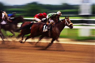 COURSES HIPPIQUES : Grand Prix du chef de L’Etat ce dimanche 14 à Thiès