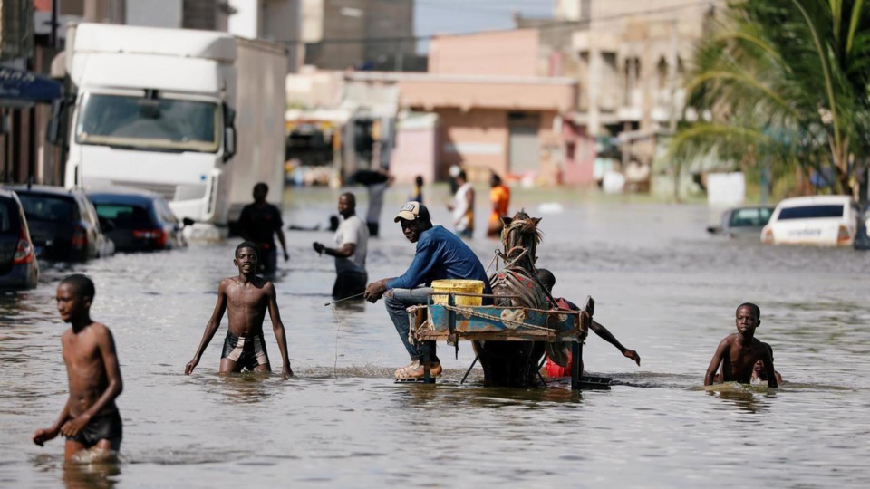 DIAGNOSTIC SUR LE FINANCEMENT DES RISQUES CLIMATIQUES ET DE CATASTROPHES AU SENEGAL : Le taux de vulnérabilité de la population est élevé 54%