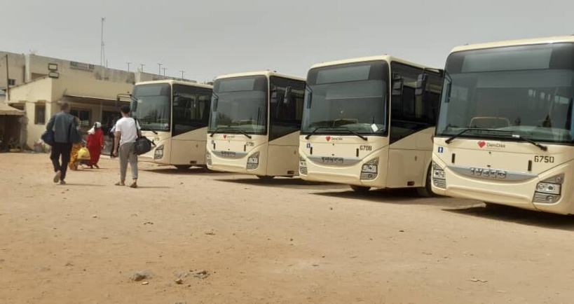 Gamou Tivaouane : Dakar Dem Dikk va effectuer des navettes