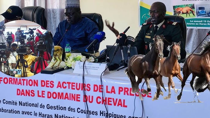 SESSION DE FORMATION DES JOURNALISTES SPORTIFS AUX COURSES HIPPIQUES : Une journée d'apprentissage et de familiarisation au Haras national