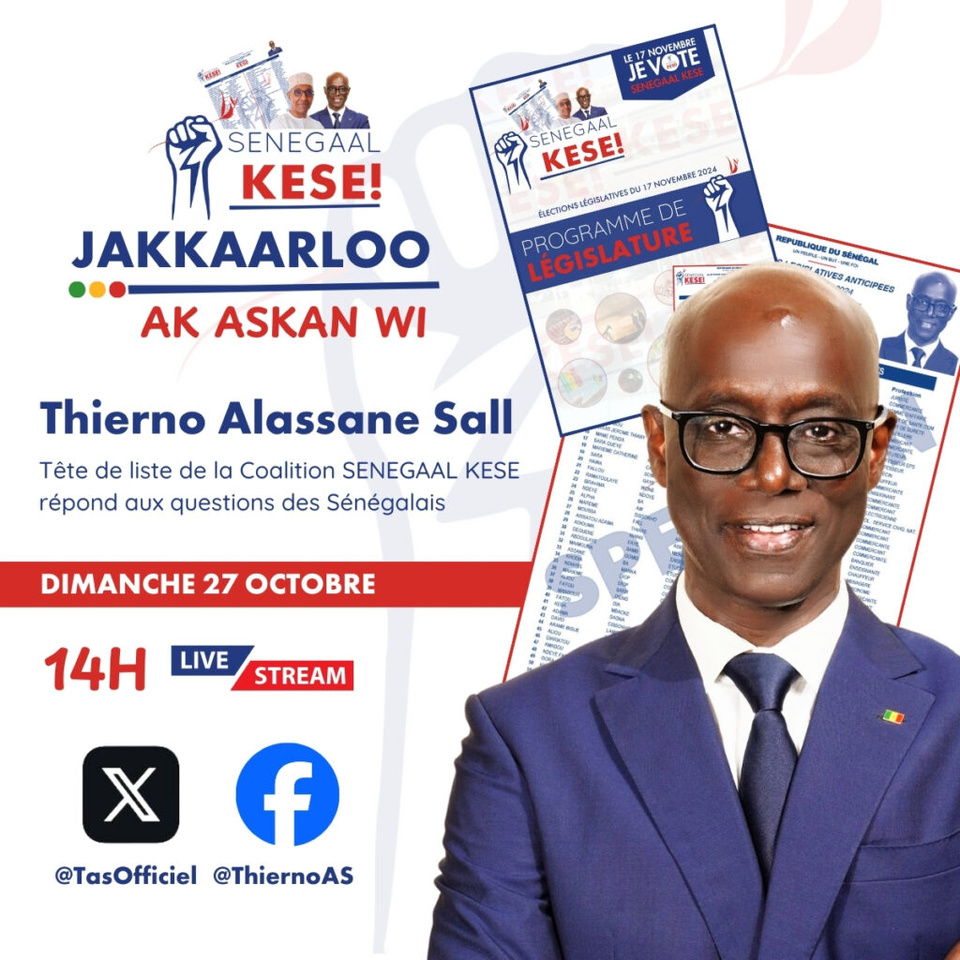 CAMPAGNE POUR LES LÉGISLATIVES DU 17 NOVEMBRE 2024 : Thierno Alassane Sall critique l’ancien et le nouveau régime et dénonce la recrudescence du discours xénophobe dans le paysage politique