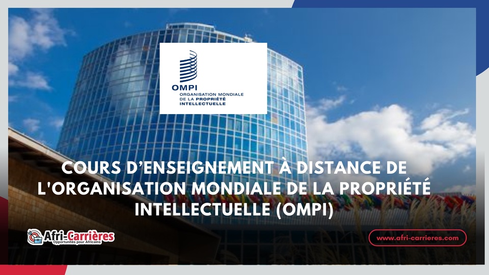 RAPPORT DE L’ORGANISATION MONDIALE DE LA PROPRIETE INTELLECTUELLE (OMPI) : Le Sénégal parmi les 10 nations les plus innovantes d’Afrique en 2024