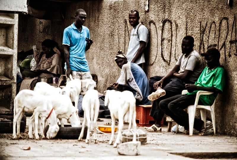 ENQUÊTE NATIONALE SUR L’EMPLOI AU SÉNÉGAL AU 3e TRIMESTRE 2024 : Le taux de chômage élargi a atteint 20,3% au 3e trimestre 2024 contre 19,5% la même période en 2023