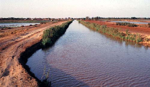 VALLEE DU FLEUVE SENEGAL: L’agriculture perd 25,5% de ses financements…Matam et Bakel seules bénéficiaires des prêts pour le matériel agricole