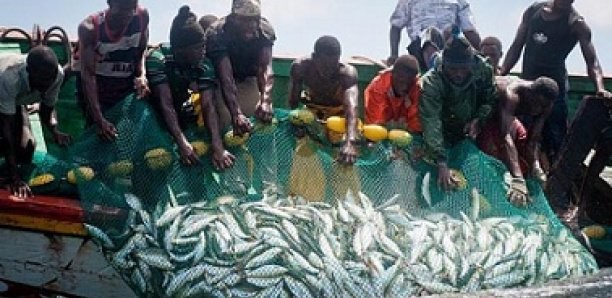 ACTE CONTRE-NATURE SUR UN FUGUEUR DE 15 ANS A PIKINE: Un mareyeur très actif et connu au marché central au poisson démasqué puis arrêté