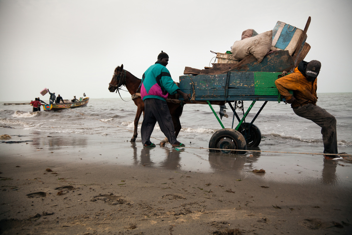 IMPORTATION PAR LE SENEGAL DE DECHETS PLASTIQUES VENANT DES ETATS-UNIS: L’Ong Greenpeace Afrique rappelle à Macky Sall ses mots d’hier et appelle les entreprises à prendre leur responsabilité écologique