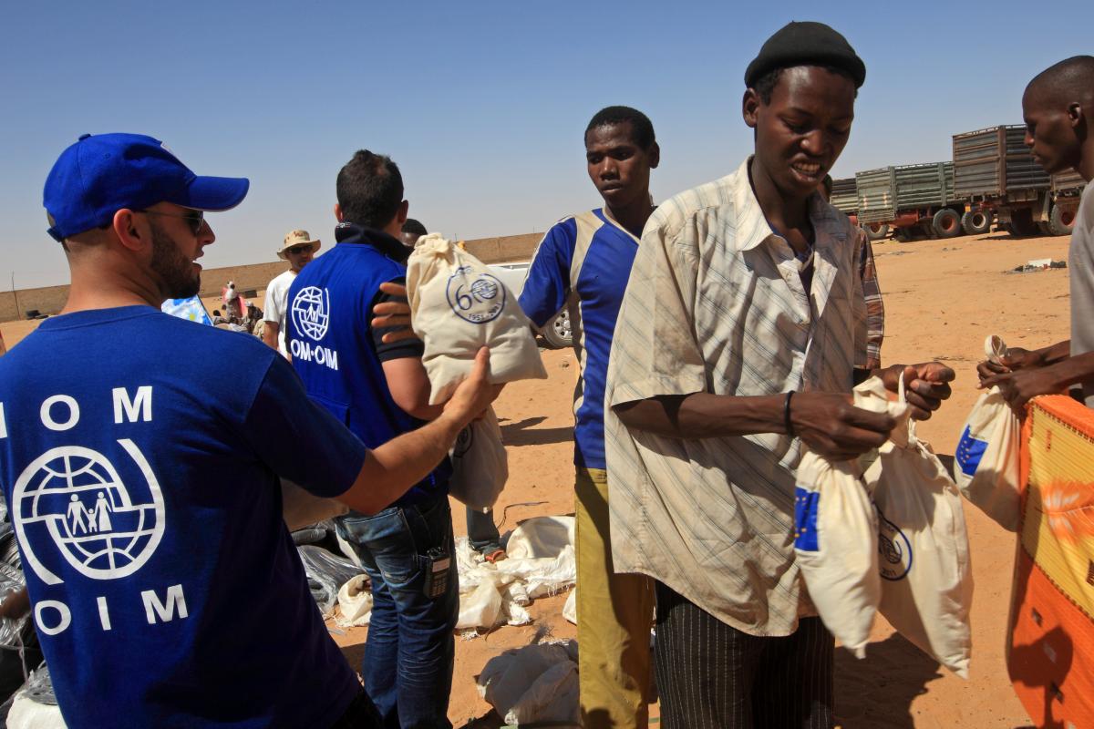 NOUVELLE ÉTUDE DE L'OIM : Les chiffres et tendances migratoires au Sénégal qui expliquent les pics d'arrivée en Europe