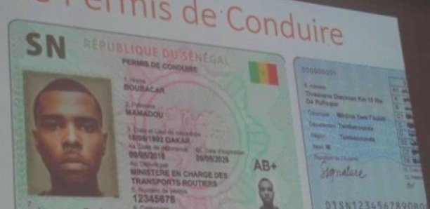 Expiration Permis de conduire : Modou Fall demande à Macky de proroger leur durée de validité