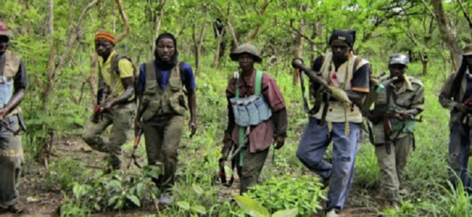 Salaires des combattants, recrutement, système de financement…grosses révélations sur le MFDC