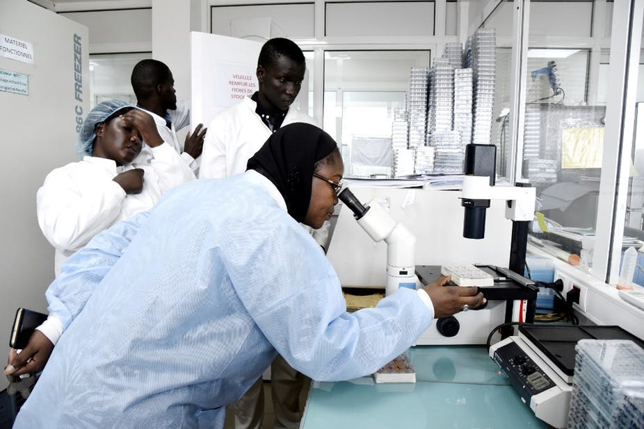 PANDÉMIE DE CORONAVIRUS : La solution pourrait venir du Sénégal