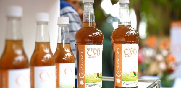 Covid-Organics : Voici ce que coûte le remède malgache