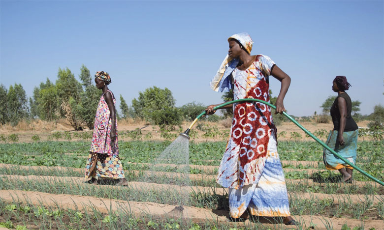 Gestion durable des terres au Sénégal : des experts se penchent sur la question