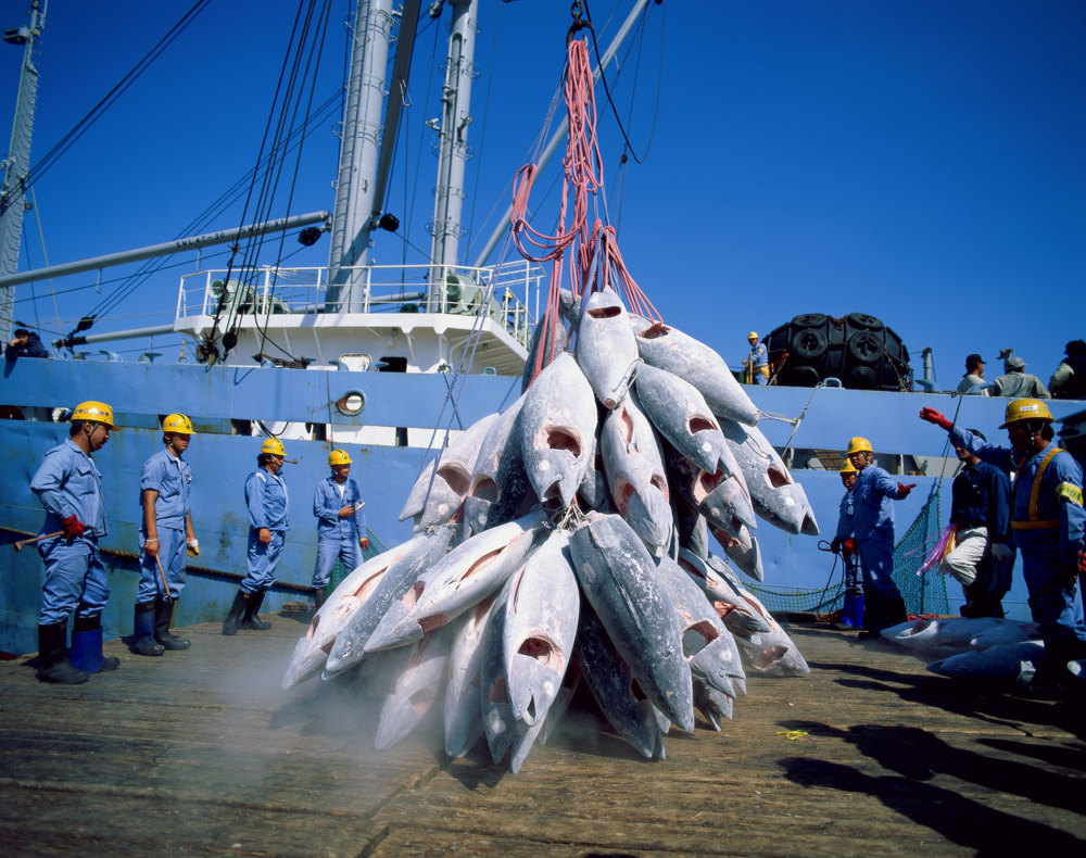 ACCORD DE PECHE SENEGAL: L’UE veut un nouveau partenariat de pêche portant sur 10.000 tonnes par an