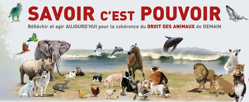 Droit des animaux: Déclaration universelle et rôle de l’avocat