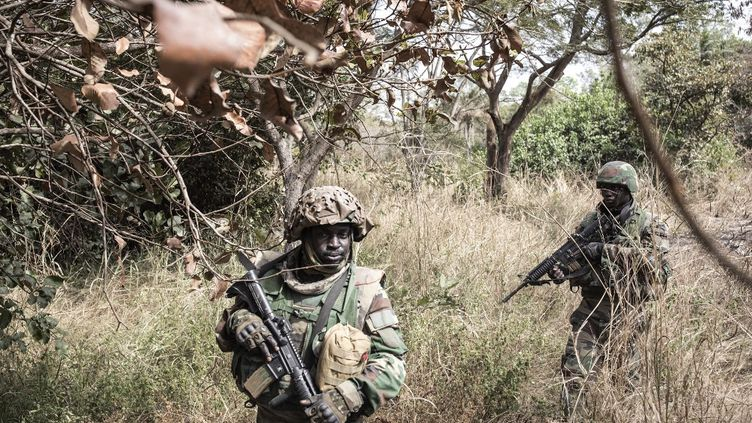 OPERATION DE SECURISATION EN CASAMANCE L’armée pilonne les bases avancées du front sud-ouest de César Atoute Badiate