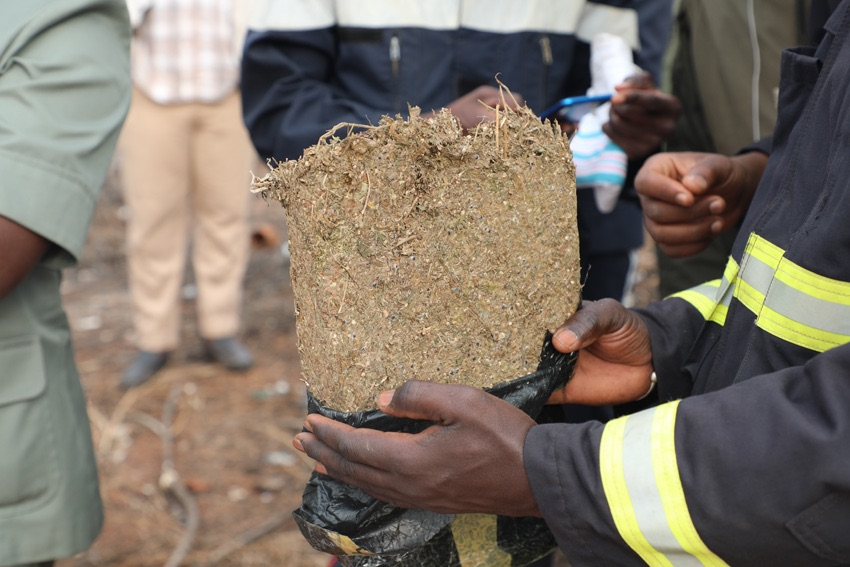 OFFRE ET CESSION DE DROGUE: Le livreur «Tiak-Tiak» Alioune Badara Diouf pris avec 3kg de yamba