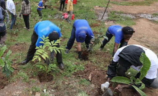 10.000 jeunes recrutés pour un «Sénégal vert»