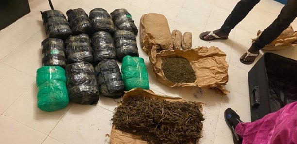 Insolite à Touba : Surpris avec plus de 14 kg de cannabis, le dealer saute du premier étage et se fait arrêter par la BRS