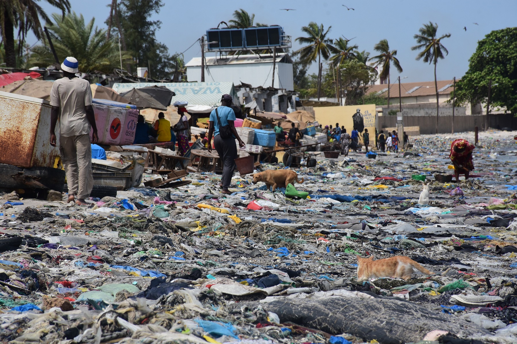 VERNISSAGE EXPOSITION SUR LA POLLUTION DE LA BAIE DE HANN :Les photographes Cheikh Tidiane Ndiaye et Abdou Cissé retracent en images des années d’agression de la baie