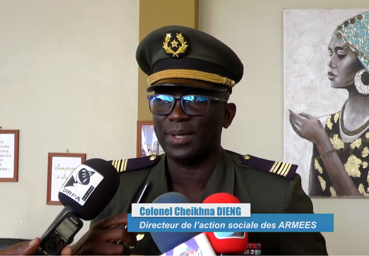 Colonel Cheikhna Dieng, Directeur du Service civique national