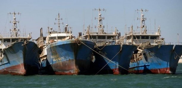 QUATRE DE SES THONIERS BLOQUES DANS LE PORT DE DAKAR: Dakartuna accuse l’Etat de ne pas respecter l'accord avec l'Union européenne et appelle Madrid à faire pression sur Bruxelles