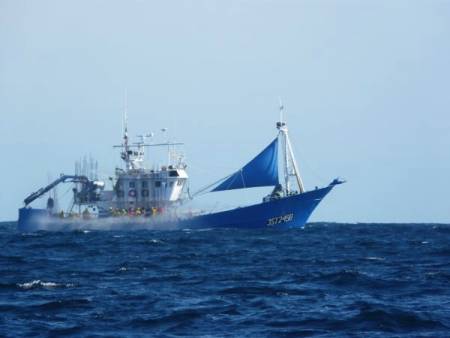 FLOTTILLE DE CANNEURS THONIERS AMARRES DEPUIS DES MOIS AU SENEGAL  :Bruxelles fait le forcing pour se faire indemniser... ; débat houleux entre parlementaires européens