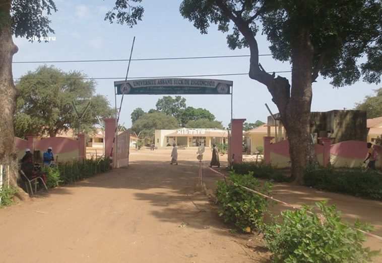 Université de Ziguinchor