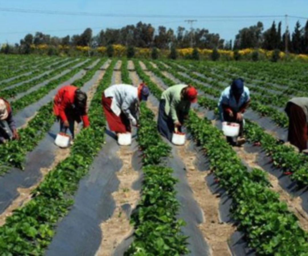 41 milliards pour l’agropole centre