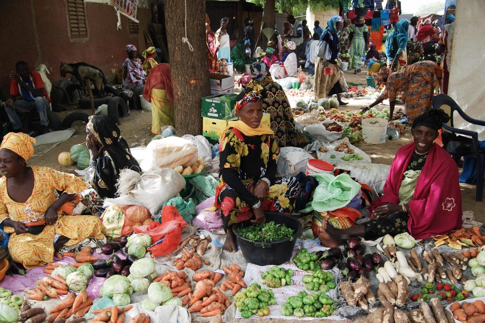 PERCEPTION DE LA CONJONCTURE PAR LES MENAGES AU 4e TRIMESTRE 2022  :15,8% des ménages à Dakar n’assurent qu’un seul repas par jour